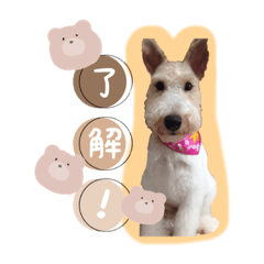 [LINEスタンプ] コペルちゃんのスタンプ