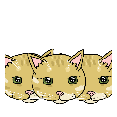 [LINEスタンプ] ムキムキ猫1