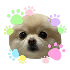 [LINEスタンプ] らいすたんぷ第二弾(やば顔)