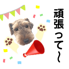 [LINEスタンプ] ウェルシュテリア♡ ジェリーさんの1日④