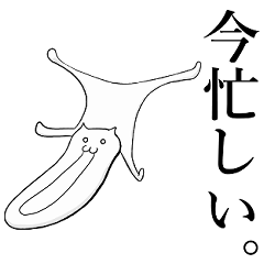 [LINEスタンプ] くれいじぃじょうちょねこ