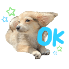 [LINEスタンプ] rayくんスタンプ