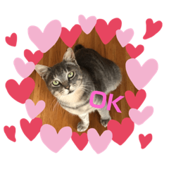 [LINEスタンプ] まるおさんスタンプ