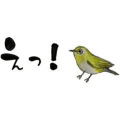 [LINEスタンプ] 和文字de野鳥スタンプ