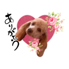 [LINEスタンプ] ゆる筆ペット♡薔薇色のキャロン