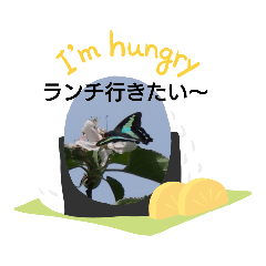 [LINEスタンプ] 写真を使って（29）