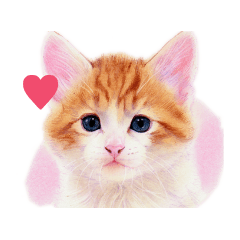 [LINEスタンプ] 目羅健嗣 猫アートコレクション 6