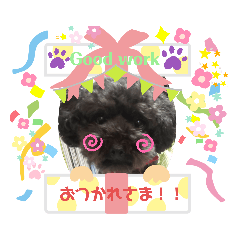 [LINEスタンプ] 黒プードル犬 可愛いスタンプ！