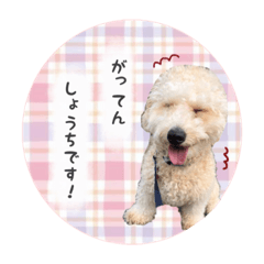 [LINEスタンプ] むうたんスタンプ♡