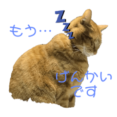 [LINEスタンプ] まりょんくんスタンプ2