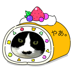 [LINEスタンプ] みっちの楽しい仲間たち