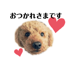 [LINEスタンプ] 空之助2