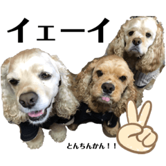 [LINEスタンプ] 我が家のアメコカとんちんかん