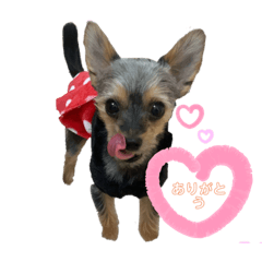 [LINEスタンプ] ヨーチワ♡挨拶編