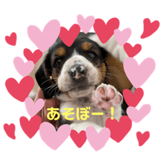 [LINEスタンプ] うるくんです
