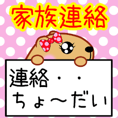 [LINEスタンプ] きゃぴばら女子部【家族連絡】