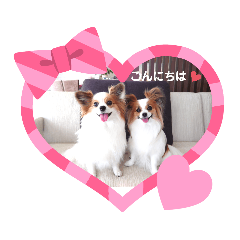 [LINEスタンプ] パピヨン クララ＆レイナ