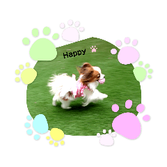 [LINEスタンプ] パピヨン クララ＆レイナ2