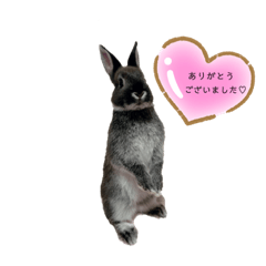 [LINEスタンプ] わがやのチョコミント②