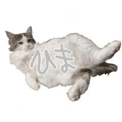 [LINEスタンプ] ふうちゃんだよ！！！！