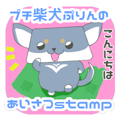 [LINEスタンプ] プチ黒柴犬プリンのあいさつstamp①