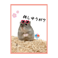 [LINEスタンプ] ハムオ すたんぷ