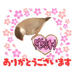 [LINEスタンプ] おかきとポンズ、時々いくら