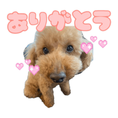 [LINEスタンプ] 高橋家のハルくん3