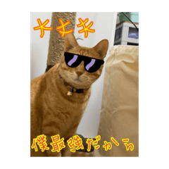 [LINEスタンプ] ちょいワルな茶太郎とみい子