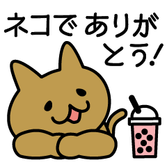 [LINEスタンプ] ネコでありがとう！