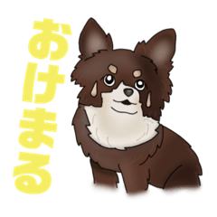 [LINEスタンプ] 犬好きのための犬好きによるスタンプ