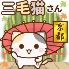 [LINEスタンプ] 動く♪京都の三毛猫さんの画像（メイン）