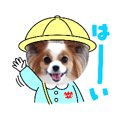 [LINEスタンプ] パピヨン クララ＆レイナ3