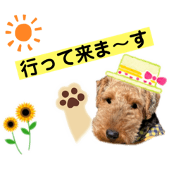[LINEスタンプ] ウェルシュテリア ♡ ジェリーさんの1日⑤