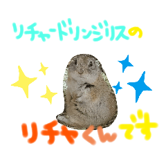 [LINEスタンプ] リスのリチャくん①