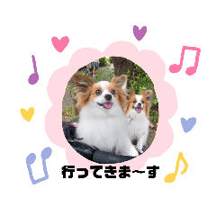 [LINEスタンプ] パピヨン クララ＆レイナ5