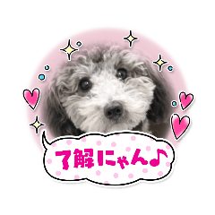 [LINEスタンプ] わんこレオン