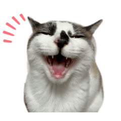 [LINEスタンプ] にぼしくん2
