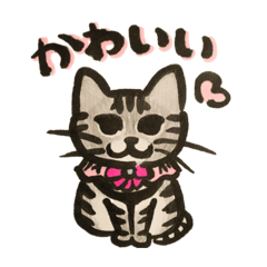 [LINEスタンプ] ねこのミミちゃん