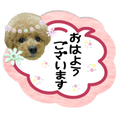 [LINEスタンプ] ペニ子☆日常語⑨