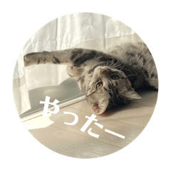 [LINEスタンプ] らんみみりお。動物スタンプ
