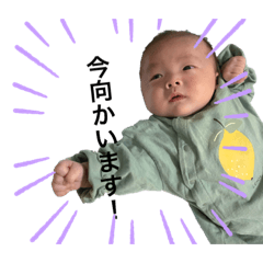 [LINEスタンプ] ぴなたくん