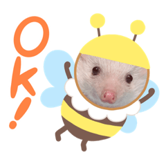 [LINEスタンプ] うちのこむぎさん②