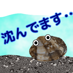 [LINEスタンプ] 海の生き物 アサリ 貝 レジャーや日常で