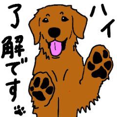 [LINEスタンプ] レッドなゴールデンレトリバーたち