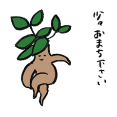 [LINEスタンプ] ナカノさんちのガジュマルさん