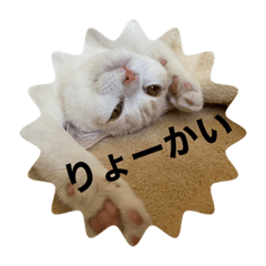 [LINEスタンプ] ジジ part.3