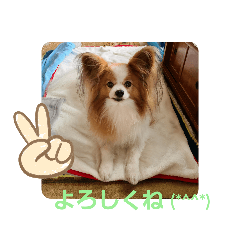 [LINEスタンプ] ぱぴぱぴパピヨン21