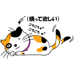 [LINEスタンプ] 構って欲しいネコ