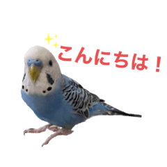 [LINEスタンプ] おもしろくうちゃんの画像（メイン）